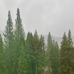 Meet your Posher, Whitney